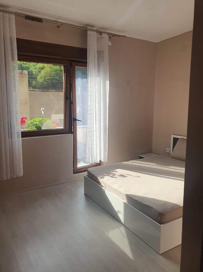 바일레헤르쿨라네 Casa Simionov 아파트 외부 사진